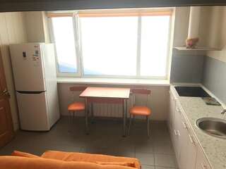 Апартаменты Apartment on Rekonstruktyvna Street Запорожье Улучшенные апартаменты-26